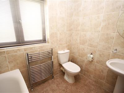Picture 24